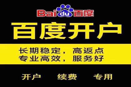 百度竞价托管运营团队案例分析
