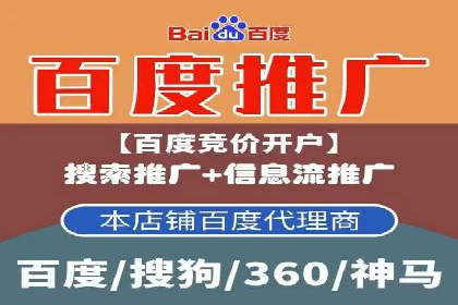 百度竞价排名实战：某电商平台的成功之路